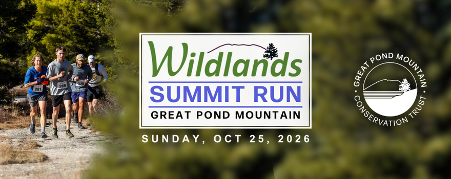Wildlands Summit Run logo