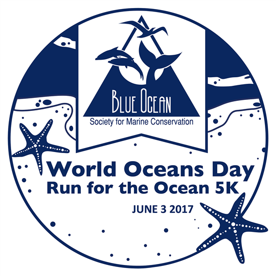 run for the ocean 2019